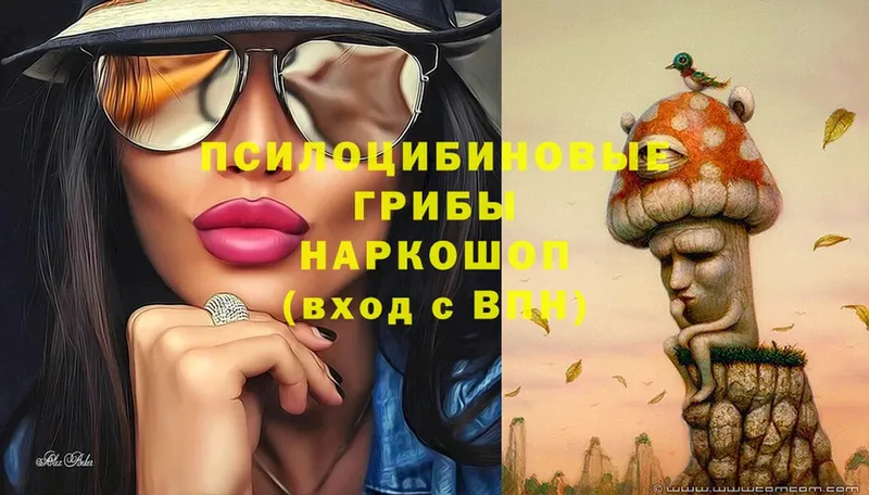 Галлюциногенные грибы Magic Shrooms  мориарти наркотические препараты  Люберцы  наркошоп 